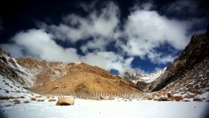 Himalayan mountain landscape