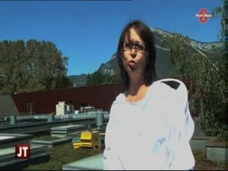 4 ruches sur le toit du lycée Le Margériaz (Barberaz)