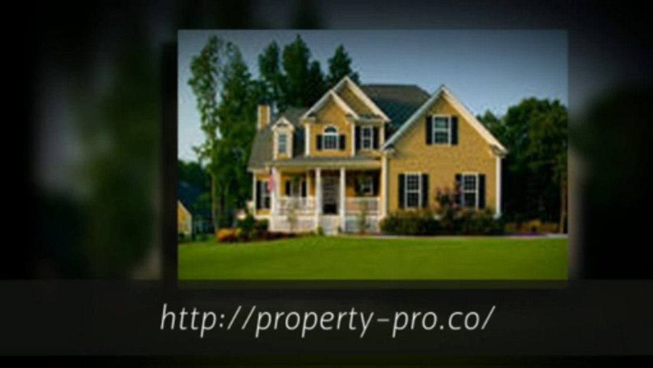 Property-Pro 1