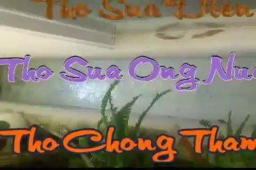 ^mr-chien^ tho chong tham tai o , quan 5 tphcm 0932!004!556