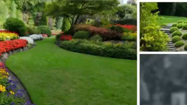 Cox Lawn Maintenance (951) 479-7066