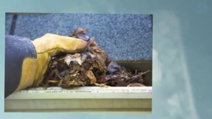 How often does your house need gutter cleaning?