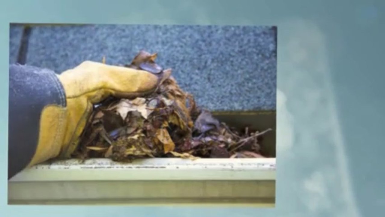 How often does your house need gutter cleaning?