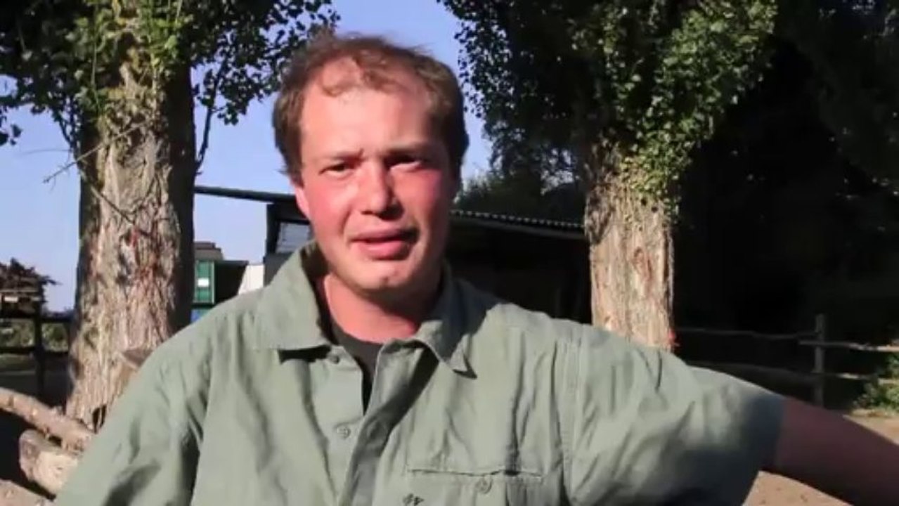 Vidéo Réa S36