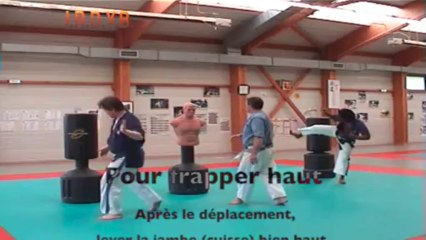 Les Coups de pieds dans les Happoken - N1 - Gérard LHOMME