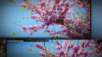 Sliding - After Effects Template