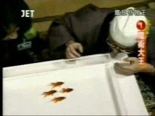 Dresseur Poisson Rouge