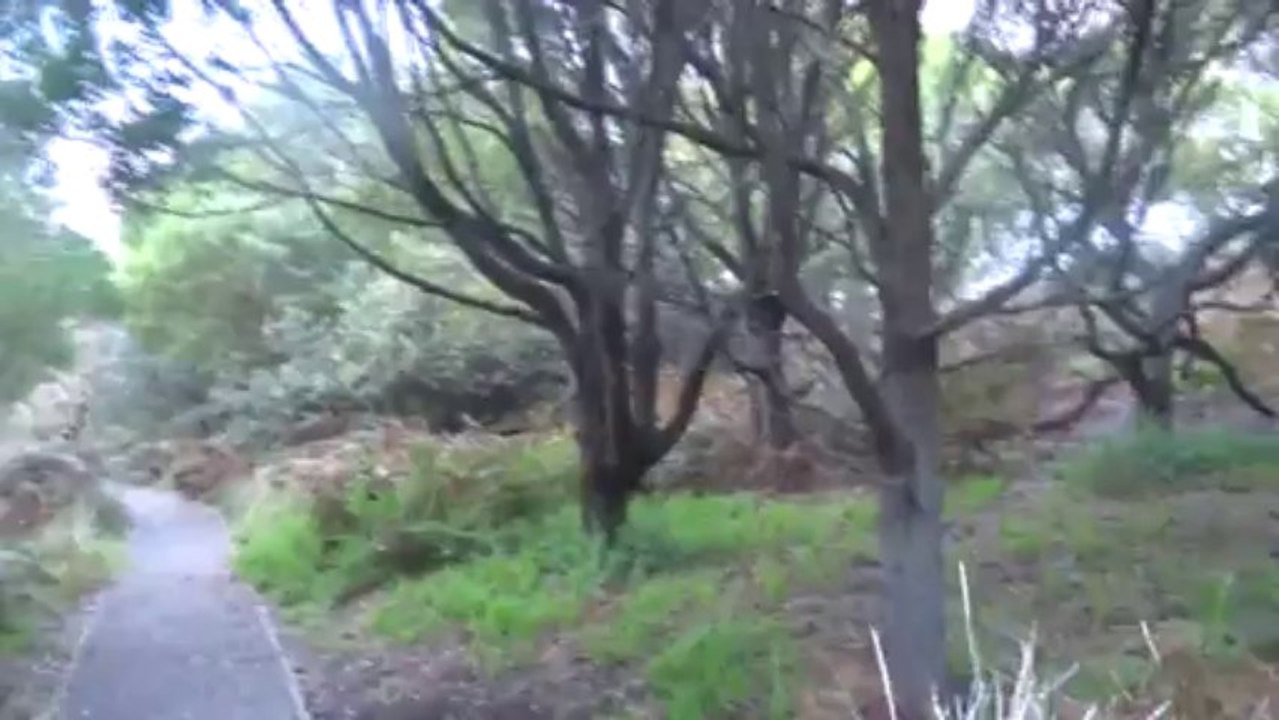 Australie-Tasmanie