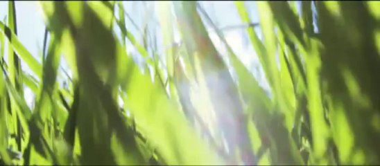 Le Bearclaw Invitational au travers des lunettes Adidas