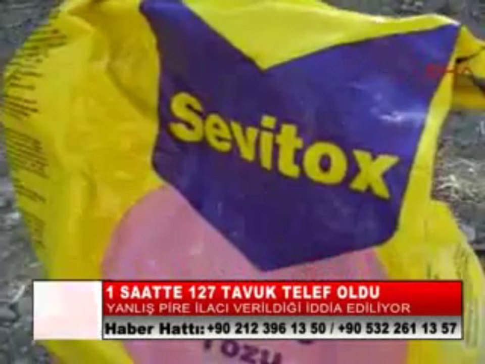 11-1 SAATTE 127 TAVUK TELEF OLDU