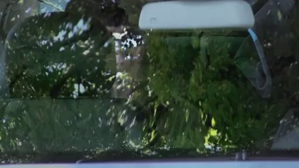 REFLETS ET CRUDITE - Bande-annonce VF