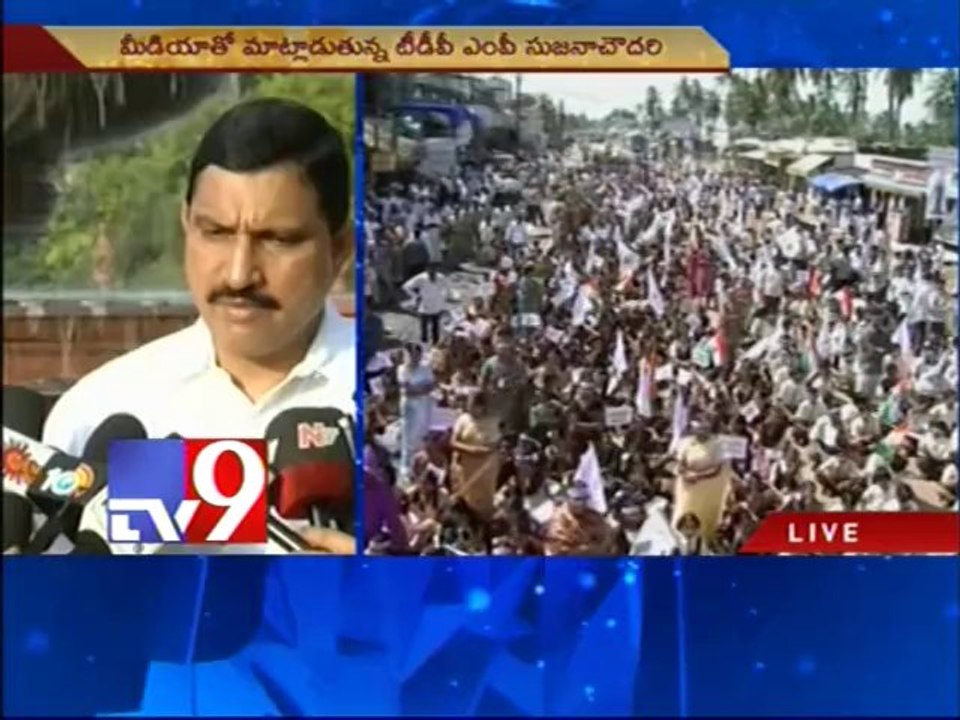 A.P bifurcation issue can be resolved peacefully - Sujana Chowdury