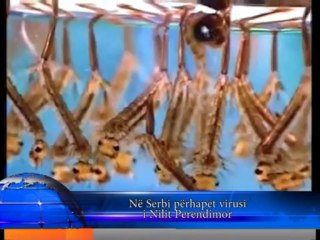 Spektri info - 05.09.2013