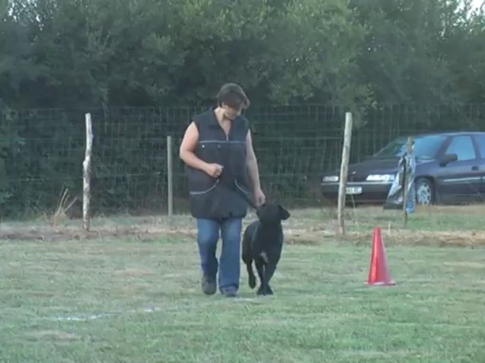 CSAU Hamorée, le 24/08/2013