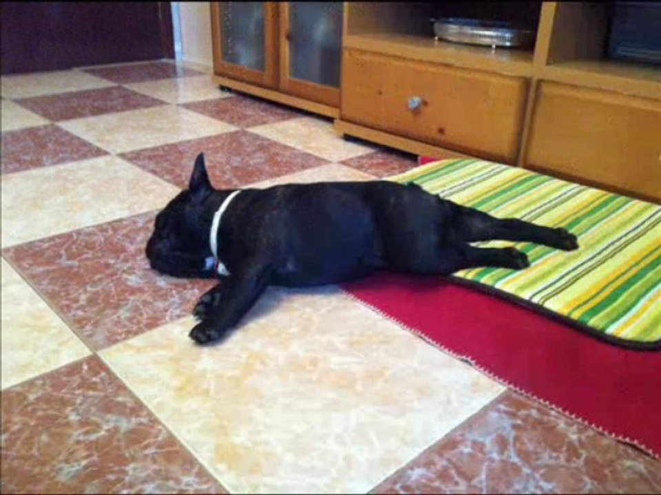 1º cumple de Kiro