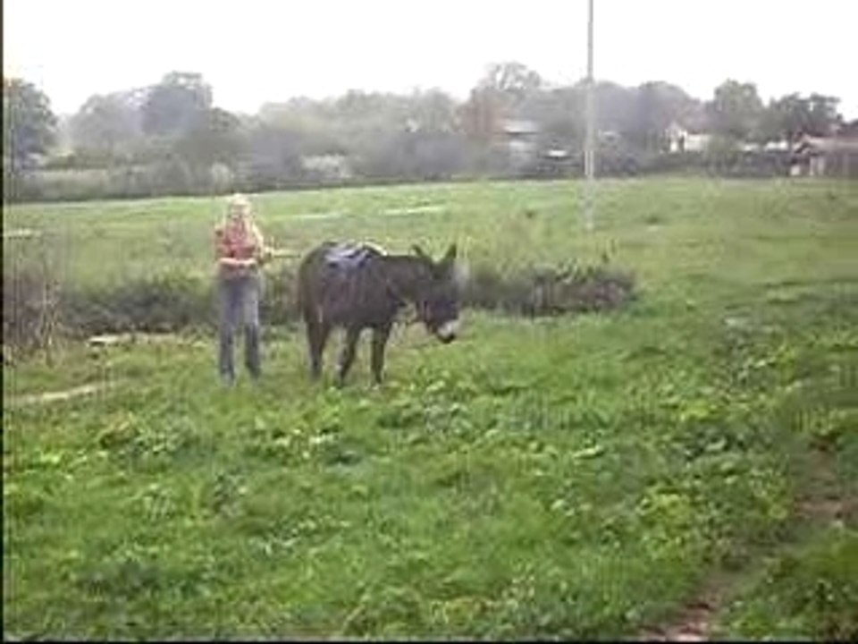 IMGP0291