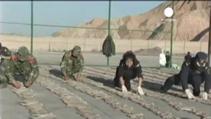 Trafic de cornes d'antilope, une saisie record