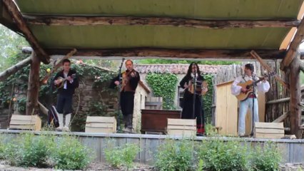 Les musiciens Traditionnels