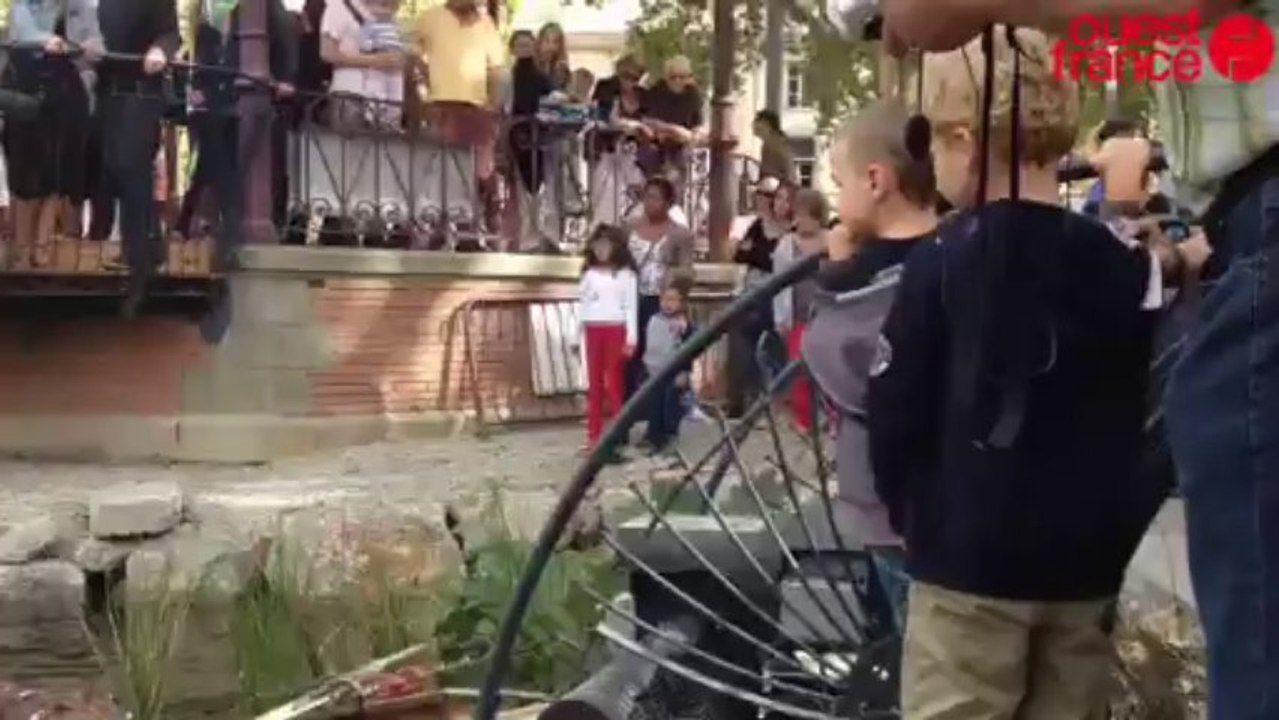 Les Animaux pris d'assaut - Des milliers de personnes donnent vie aux Animaux