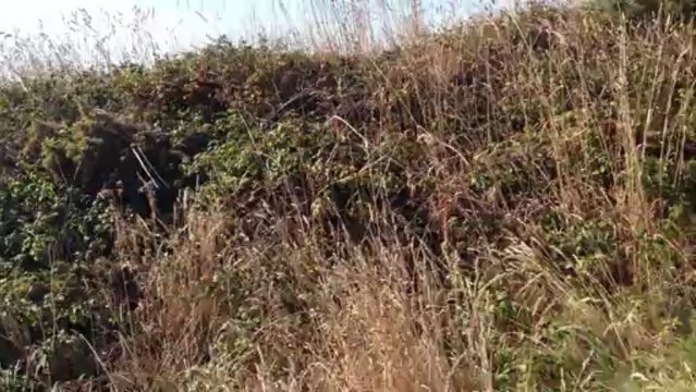 Bretagne Morbihan : petits bâteaux vus de haut