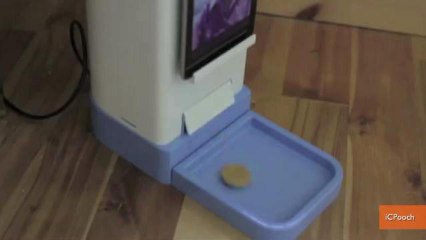 Teen Inventor Creates Video Chat and Treat Delivery for Dogs
