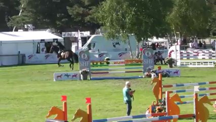 Ultragood des Vaux / finale des 5 ans Fontainebleau