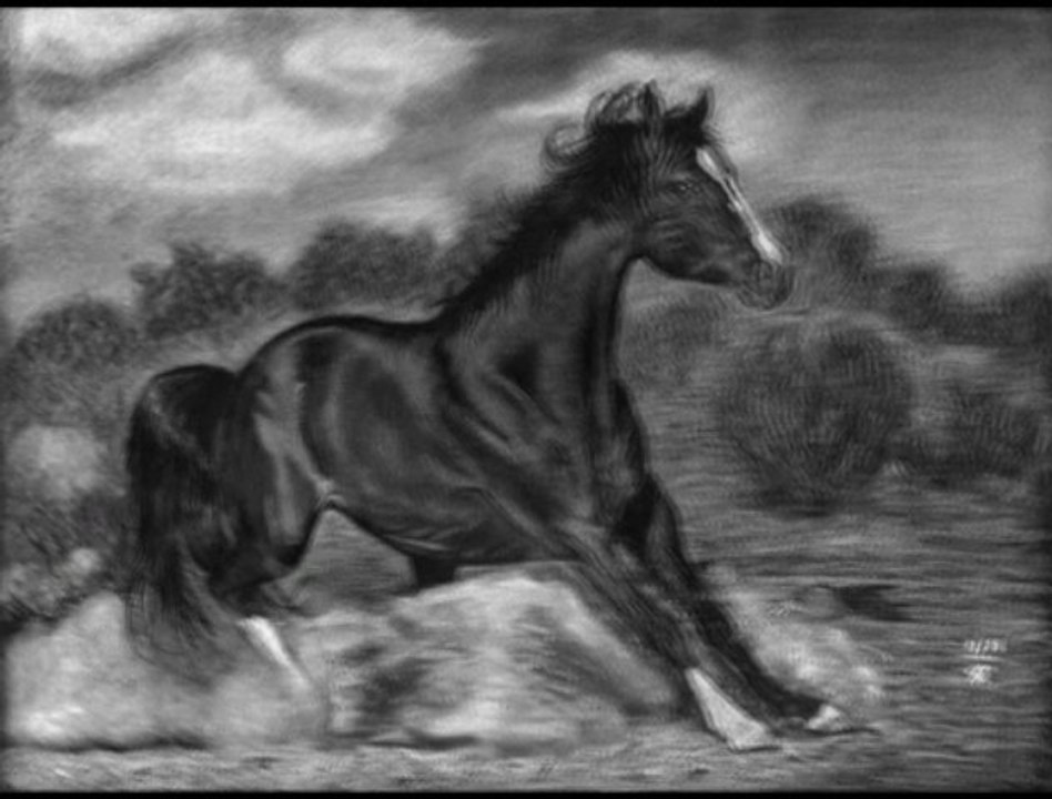 ABS de Cheval