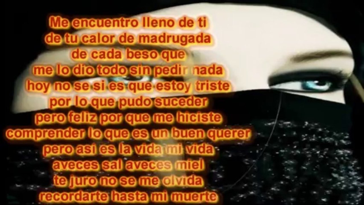Vives en mi    David Bisbal    Con letra