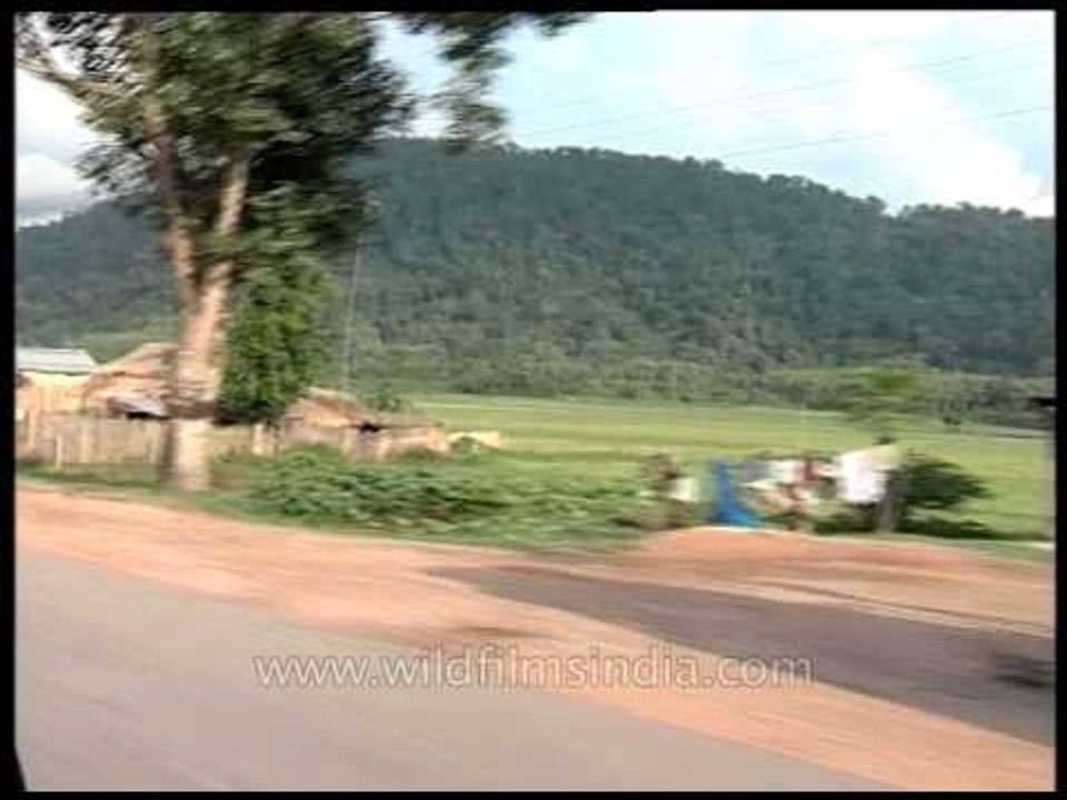 Driving through Assam