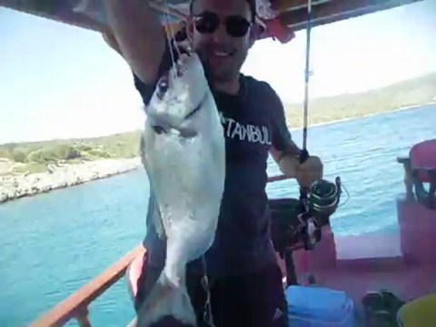 güvercinlik olta balık çipura avı 0541 850 4306 elif kaptan