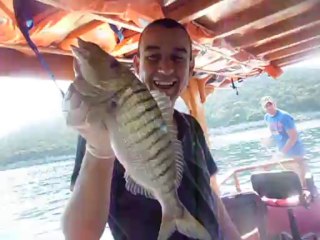 bodrum güvercinlik balık avı 0541 850 43 06 elif kaptan