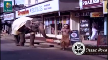 Malayalam Comedy Movie Gajakesariyogam clip 39