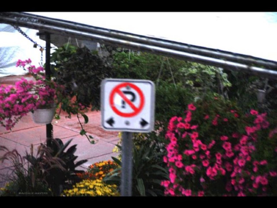 ©OTTAWA N°4 VISITE EN BUS SOUS LA PLUIE PHOTOS&PHOTOS-PEINTURES MARTINE ANCIAUX© SIGNE