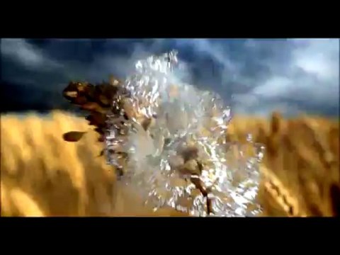 ETİ Burçak – WWF