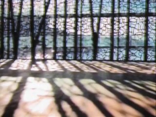 L’Orchidoclaste extrait 5/6 B.O Jean-Louis Murat