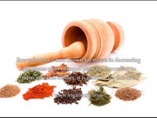 Prostate Herbs A Natural Prostate Cure