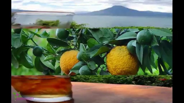 GUERLAIN Homme Eau De Toilette Spray