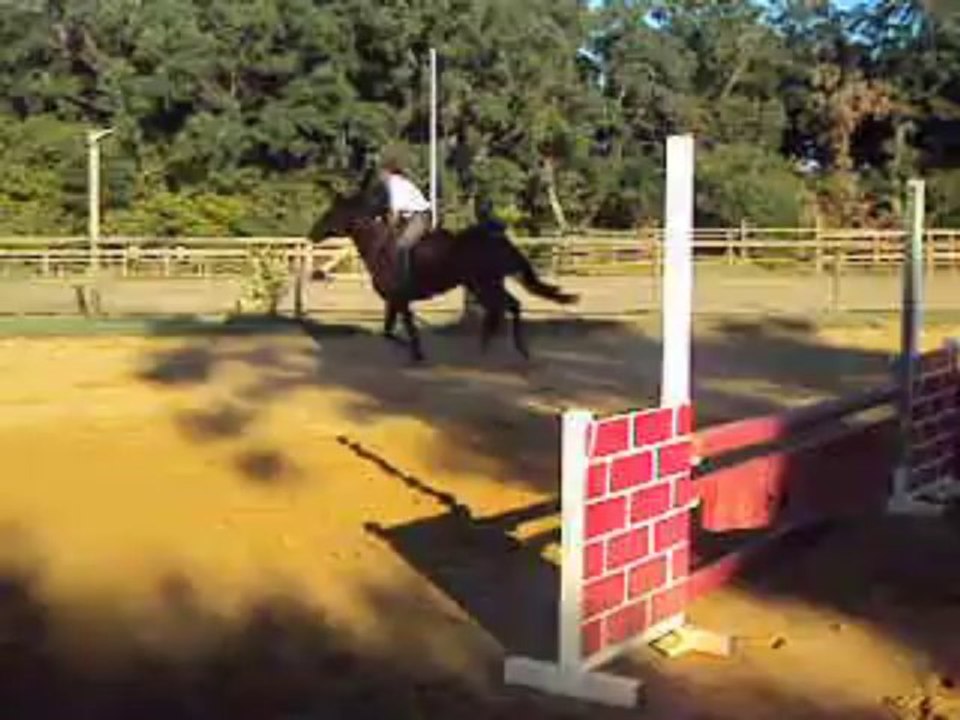 oxer jument 5 ans bleu blanc rouge