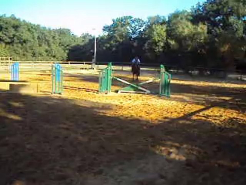parcours jument 5 ans bleu blanc rouge