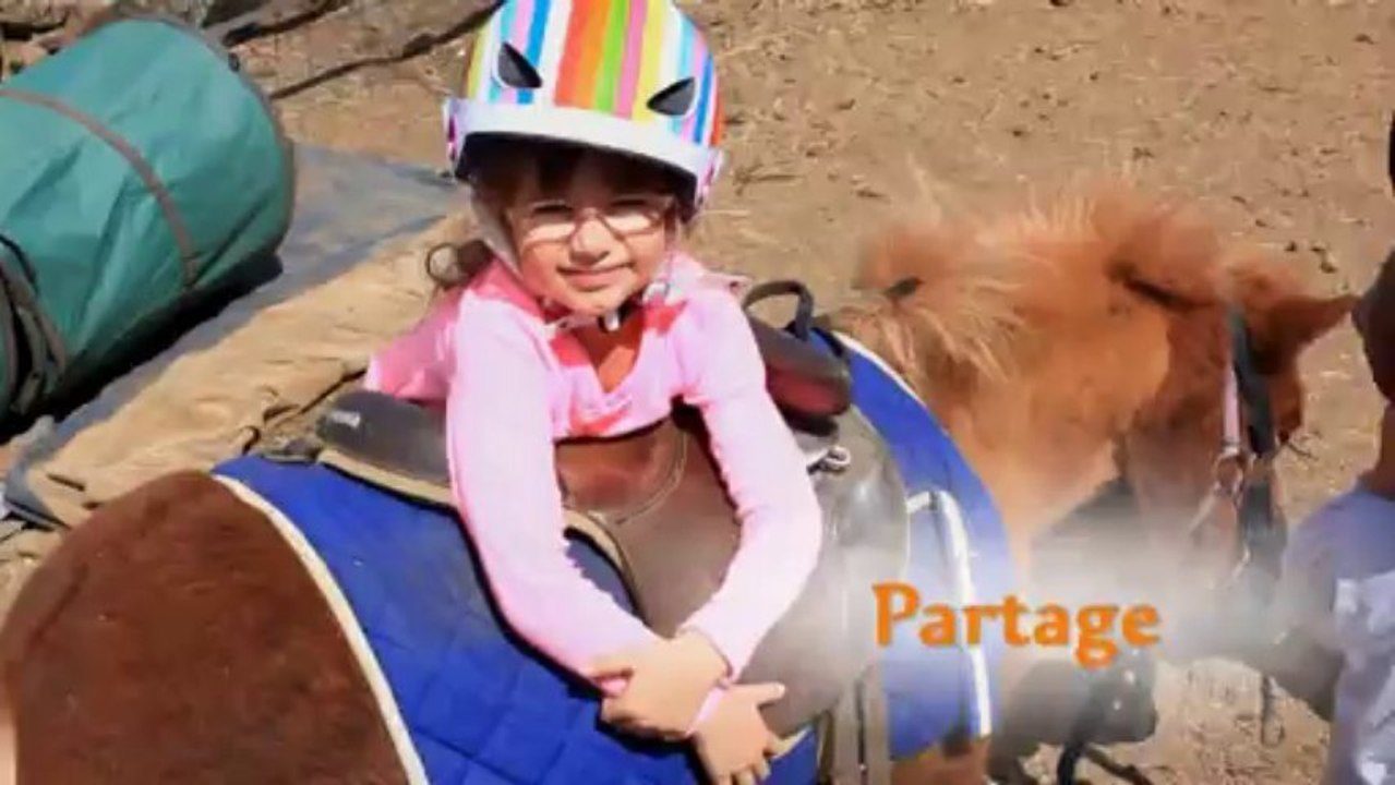 L'le aux poneys spot pub