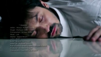 DILDARA Music Video Now Release - Featuring Waqar Ahmed