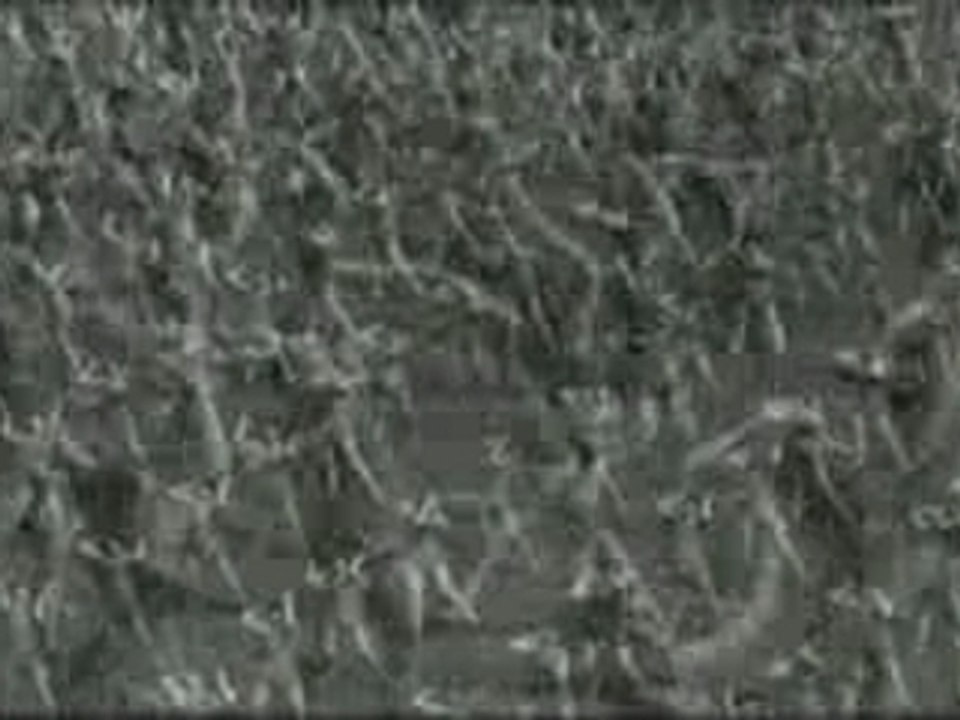 RAMMSTEIN - Stripped