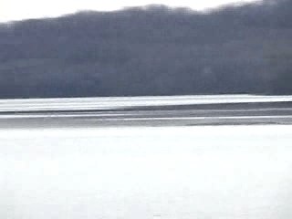 monstre du lac Champlain