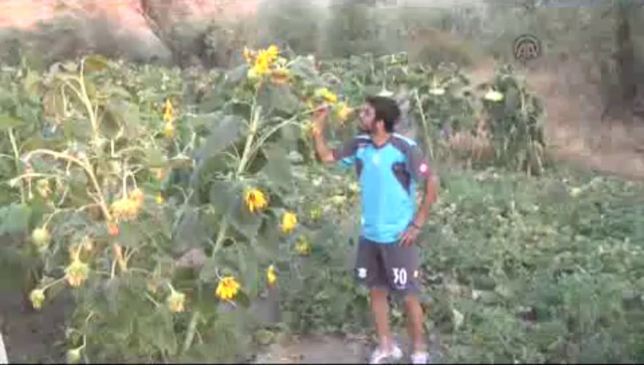 Önce sahaya sonra tarlaya