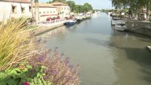 L'abattage des platanes malades du Canal du Midi s'accélère