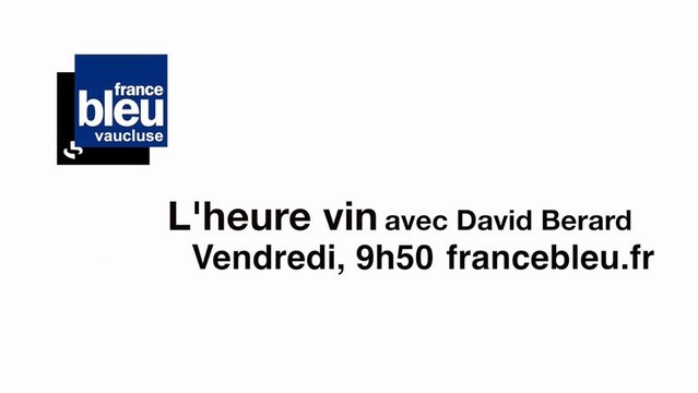 L'heure vin : lancement des vendanges avec un oenologue