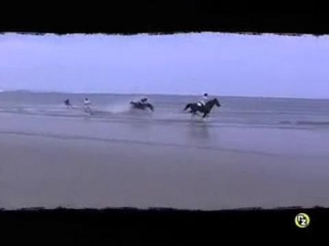Horse Surfing - Riding Zone