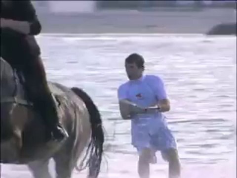 Horse Surfing
