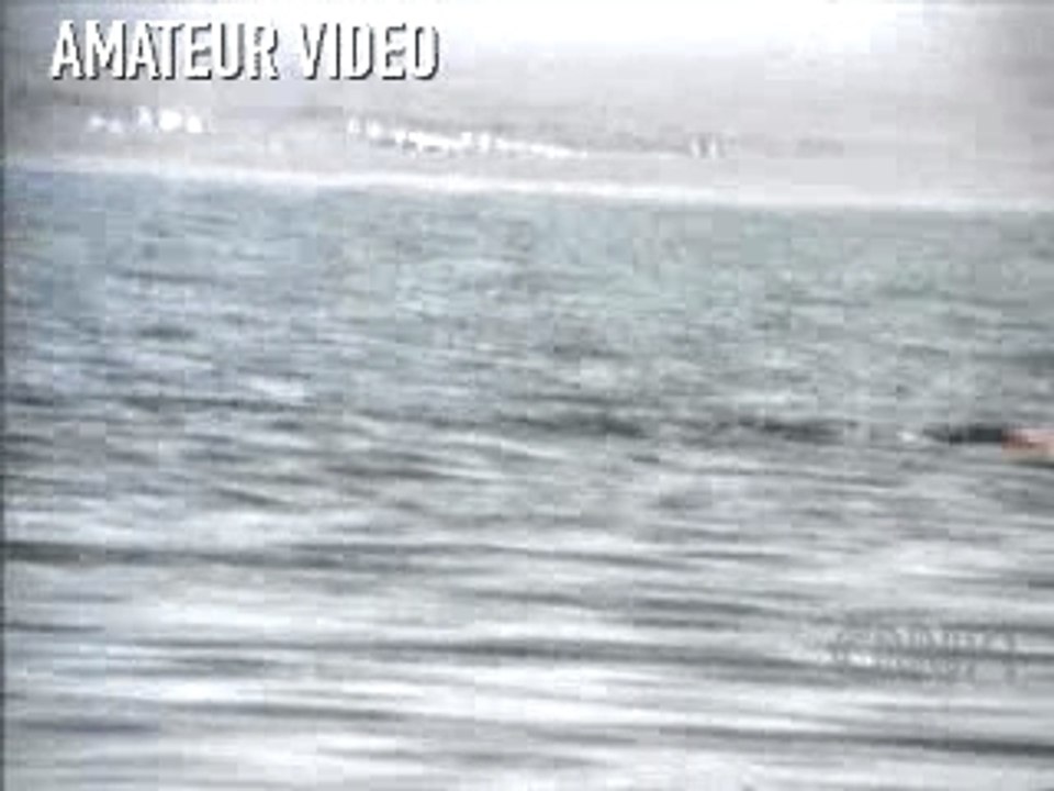 Monstre du lac de Van (Turquie)