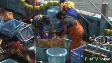 S. Korea bans Japanese fish amid fallout fears